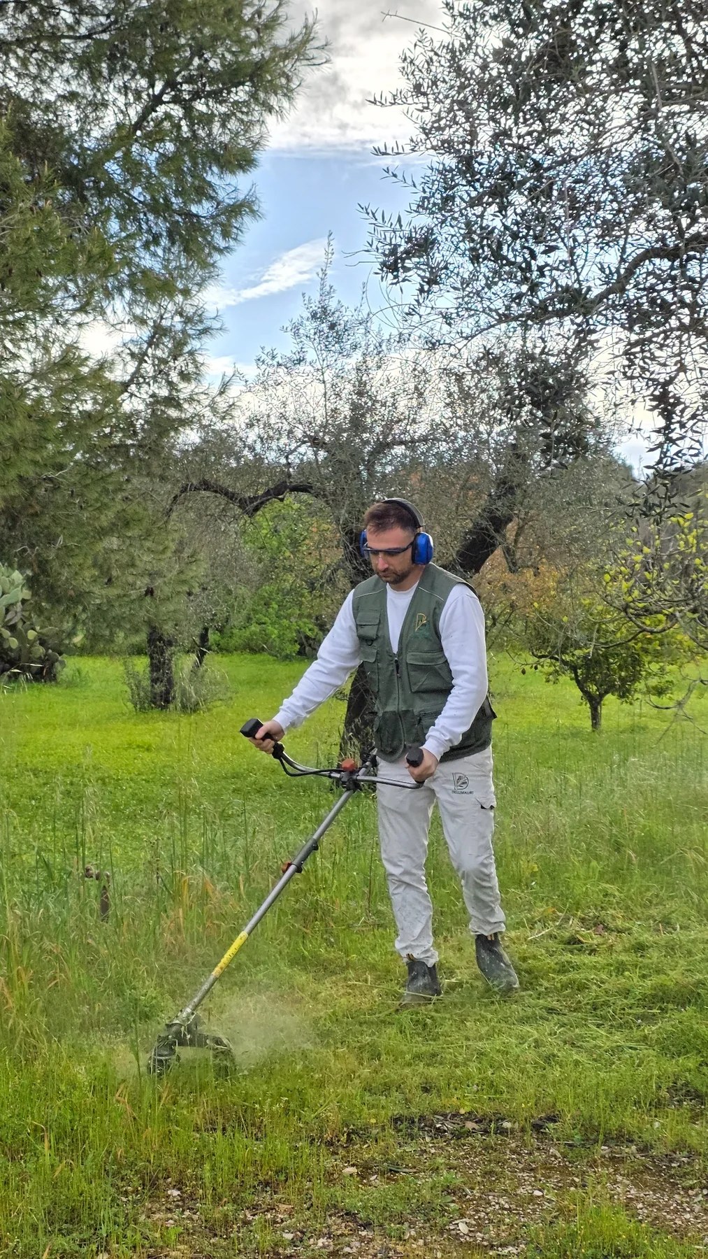 Manutenzione del verde DELLIMAURI 7